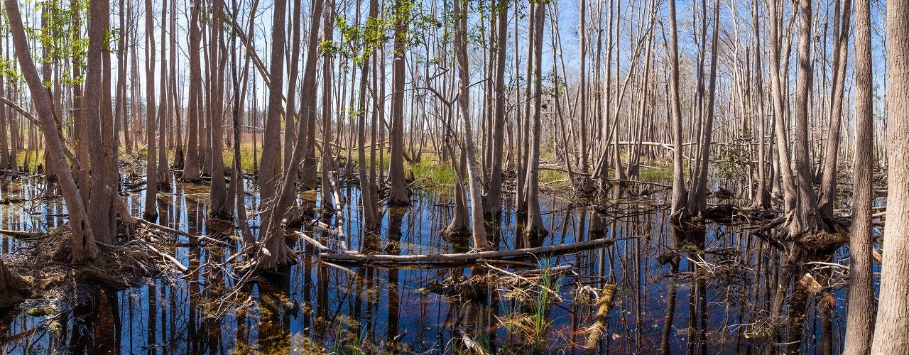 SCOTUS V. WOTUS